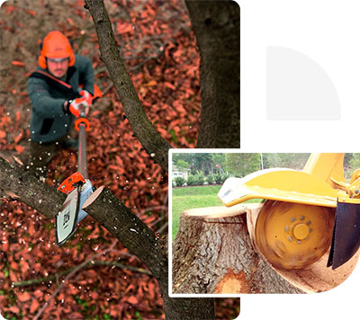 Удаление веток и пней