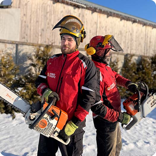 Компания Арбопрофи