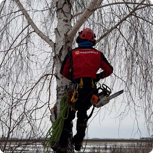 Компания Арбопрофи