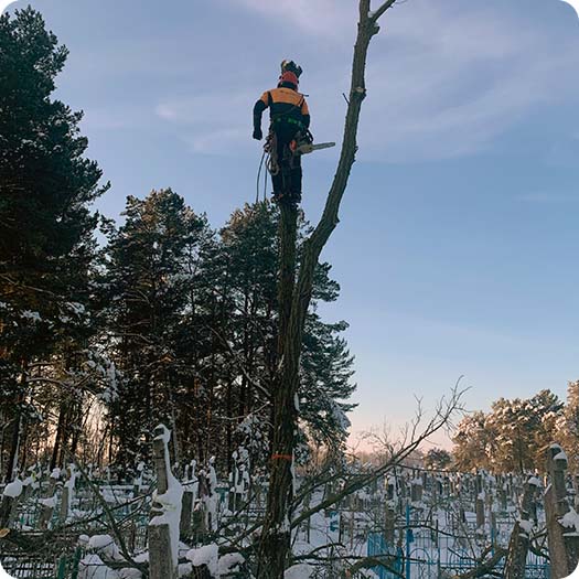 Компания Арбопрофи