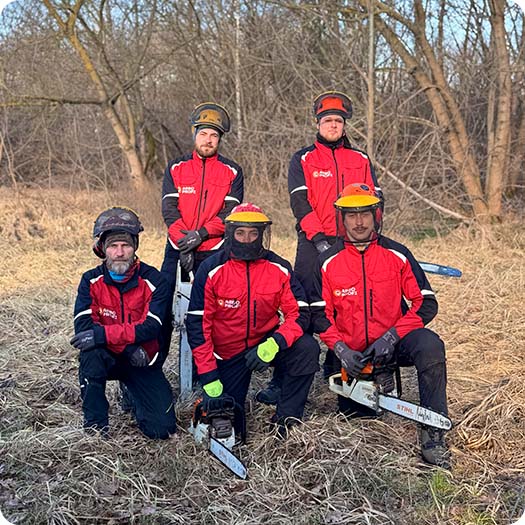 Компания Арбопрофи