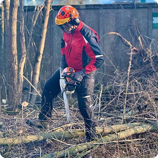 Расчистка участка