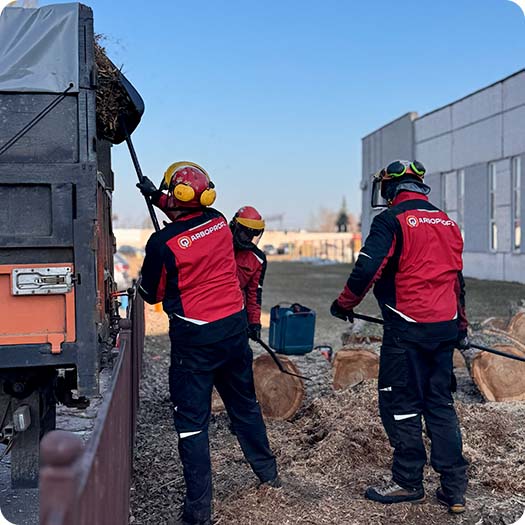 Вывоз порубочных остатков
