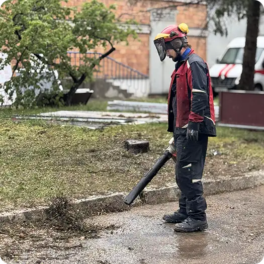 Расчистка участка от деревьев