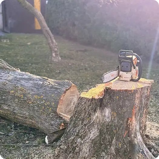 Спилить дерево целиком