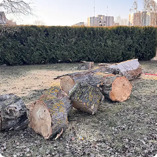 Спилить дерево целиком