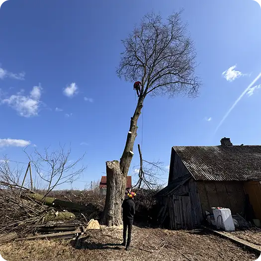 Удаление дерева по частям