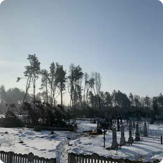 Удаление деревьев на кладбище