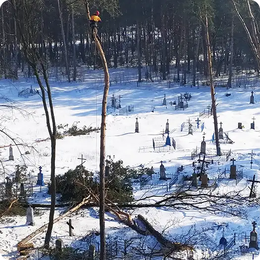 Удаление деревьев на кладбище